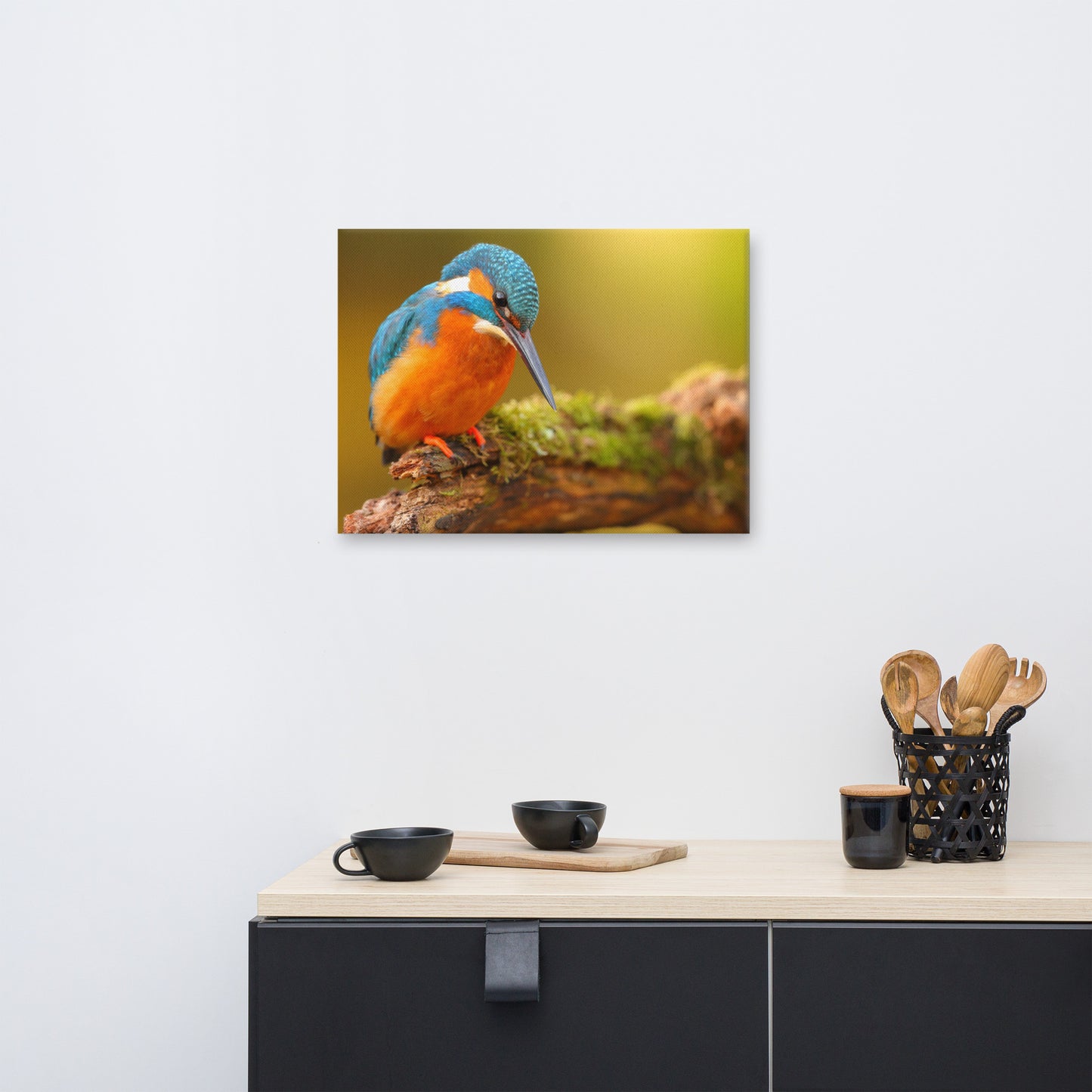 Kingfisher Bird on Perch 2 Animal Wildlife Photo Canvas Wall Art Prints