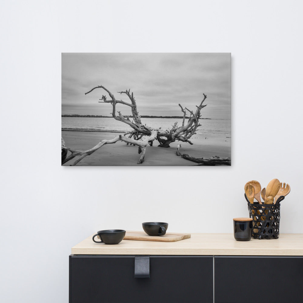 Large Nautical Wall Decor: Driftwood on Boneyard Beach Florida 3 Black and White Rustic Coastal Landscape Photo Canvas Wall Art Print