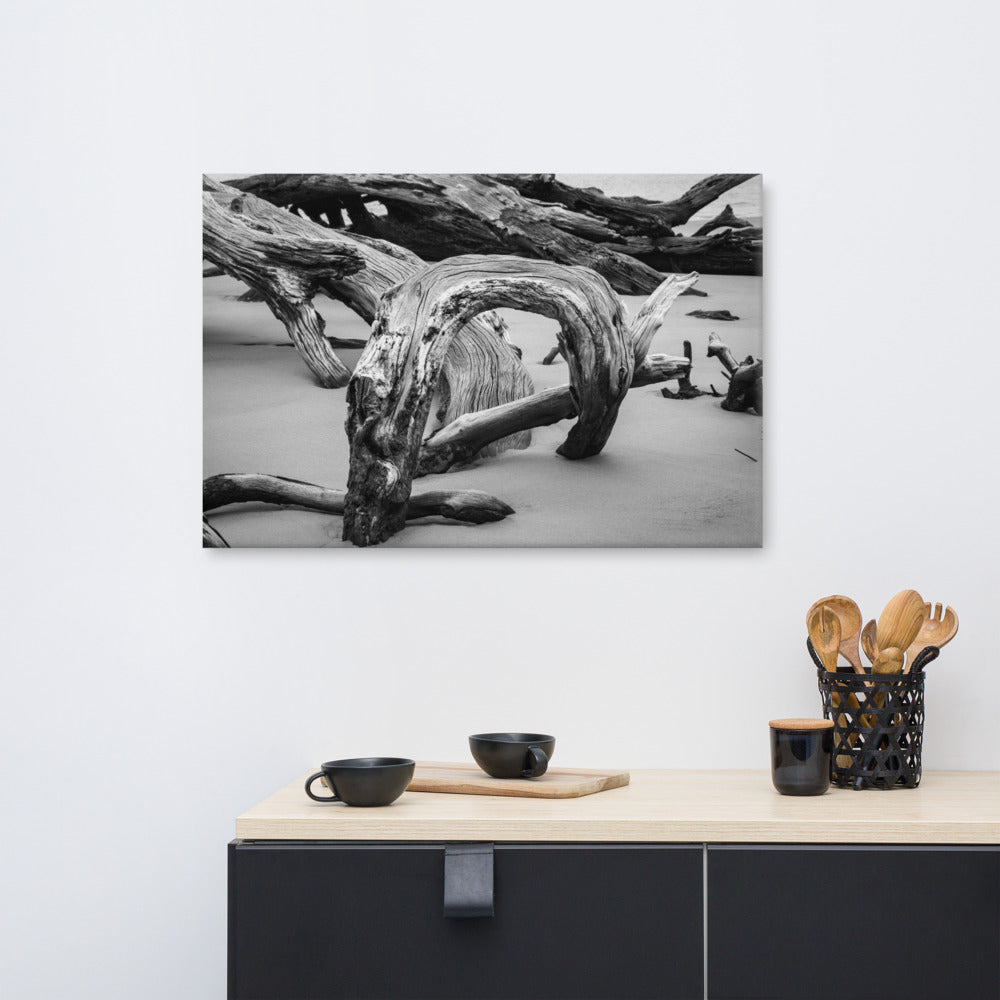 Tropical Beach Art Prints: Dead Tree Boneyard Beach Florida 5 Black and White Rustic Landscape Photo Canvas Wall Art Print