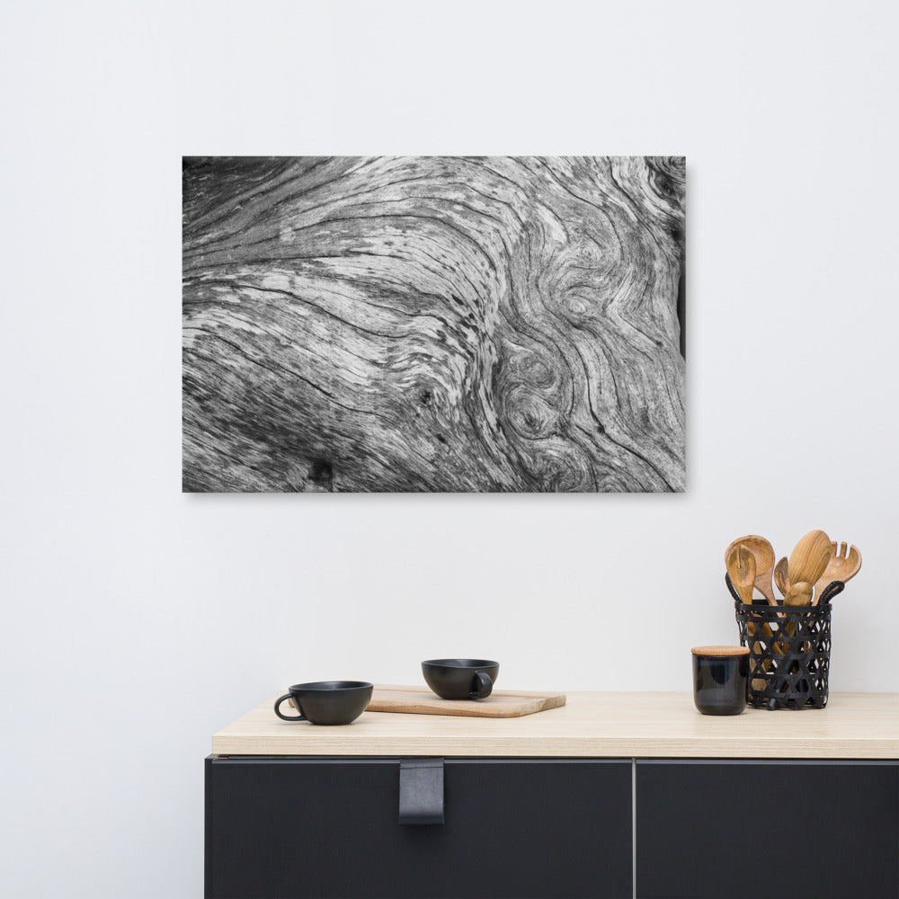 Large Coastal Canvas Wall Art: Dead Tree Boneyard Beach Florida Texture Close-up 2 Black and White Rustic Nature Photo Canvas Wall Art Print