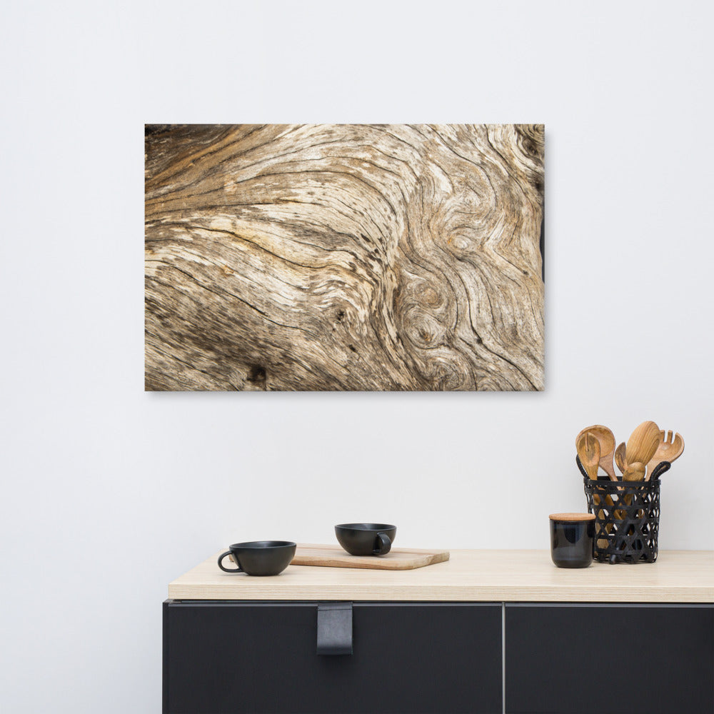 Large Farmhouse Wall Art: Dead Tree Boneyard Beach Florida Texture Close-up 3 Rustic Nature Photo Canvas Wall Art Print