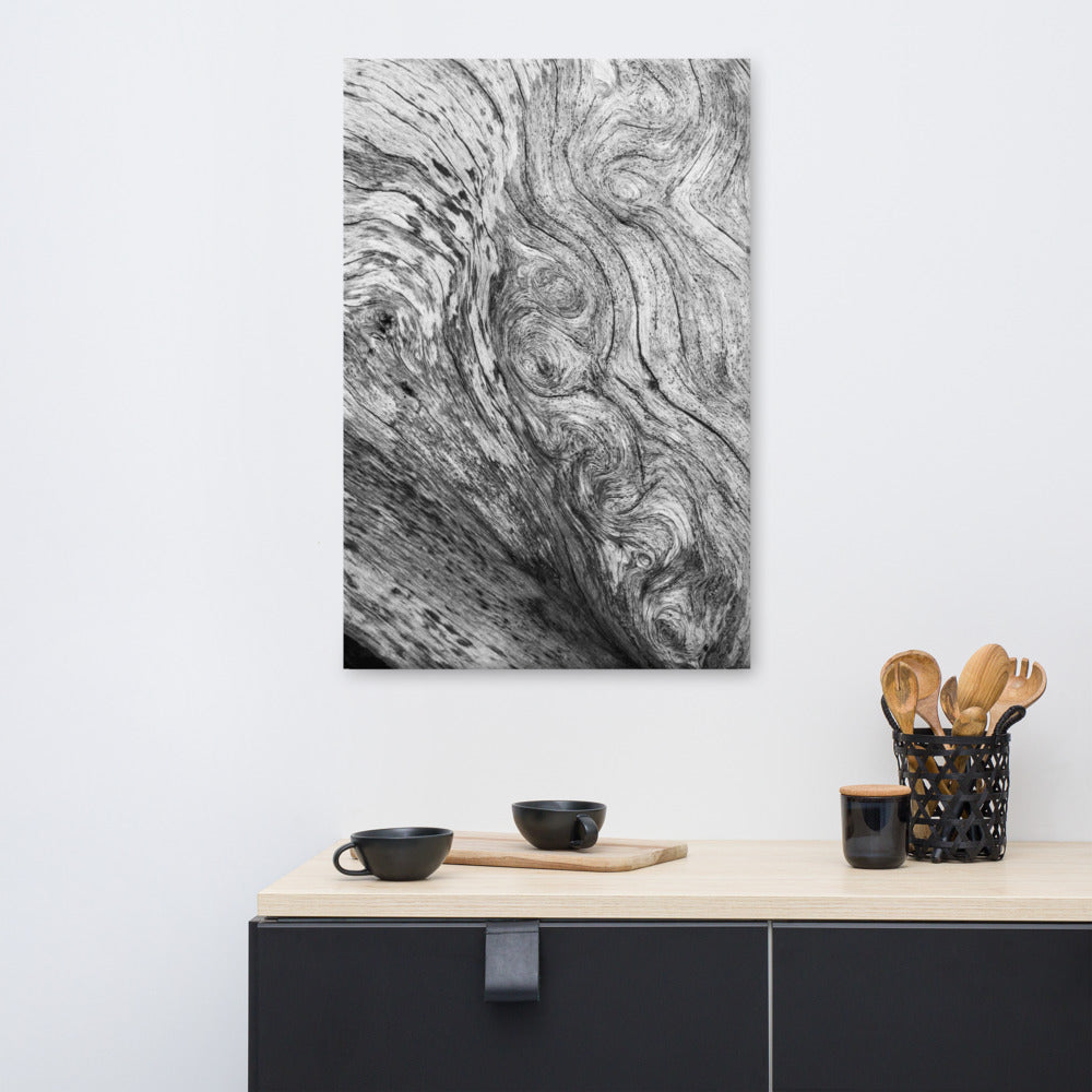 Large Rustic Canvas: Dead Tree Boneyard Beach Florida Texture Close-up 5 Black and White Rustic Nature Photo Canvas Wall Art Print