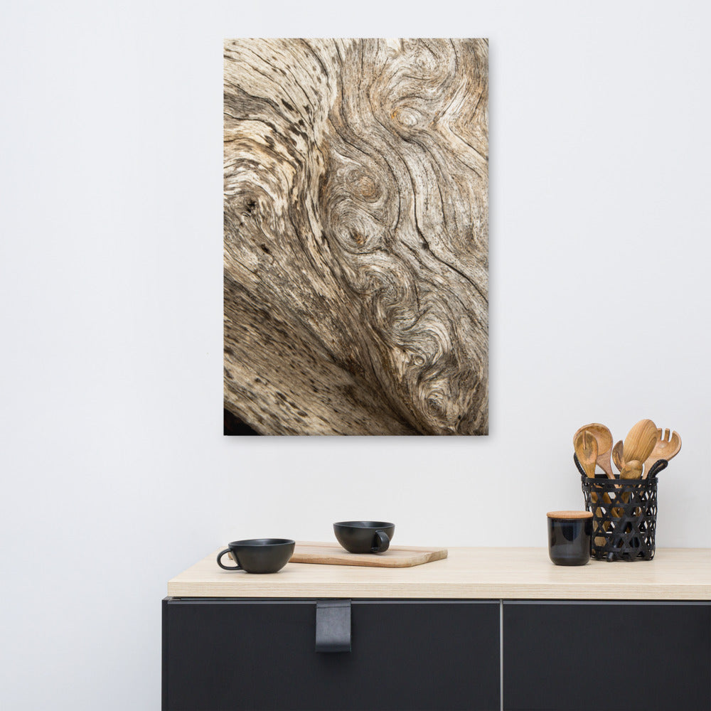 Beach House Wall Decor: Dead Tree Boneyard Beach Florida Texture Close-up 4 Rustic Nature Photo Canvas Wall Art Print