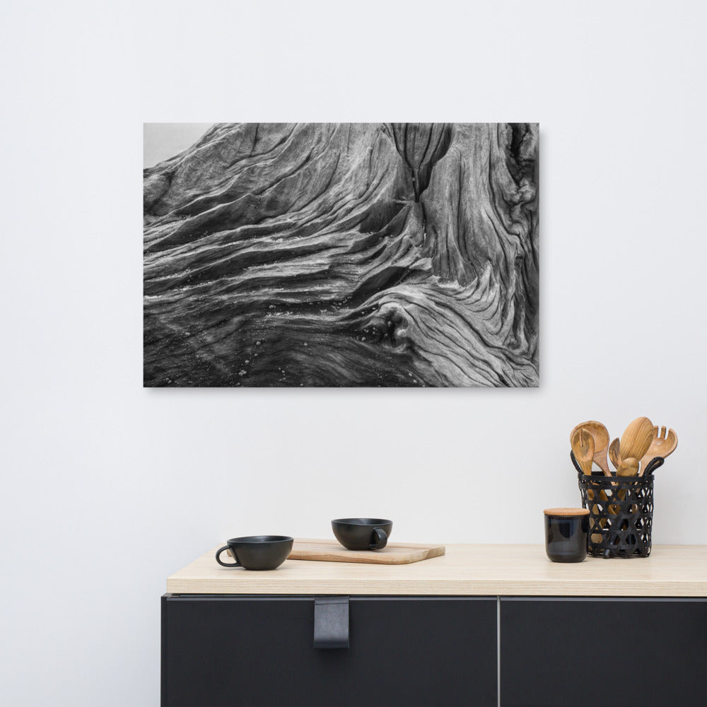 Farmhouse Wall Art Large: Dead Tree Boneyard Beach Florida Texture Close-up Black and White Rustic Nature Photo Canvas Wall Art Print