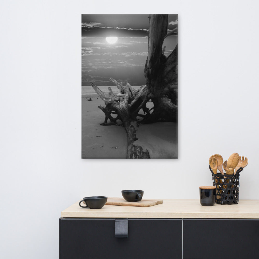 Canvas Wall Art Coastal Beach I: Dried Tree Roots and Sunrise 2 Black and White Landscape Photo Canvas Wall Art Print