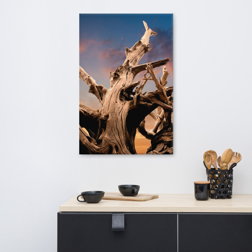 Beach Home Wall Decor: Wilted Cypress Tree and Sunrise Nature Photo Canvas Wall Art Prints
