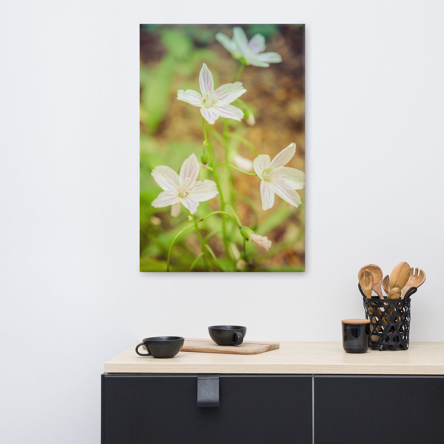 Tranquil Carolina Spring Beauty Floral Botanical Nature Photo Canvas Wall Art Prints