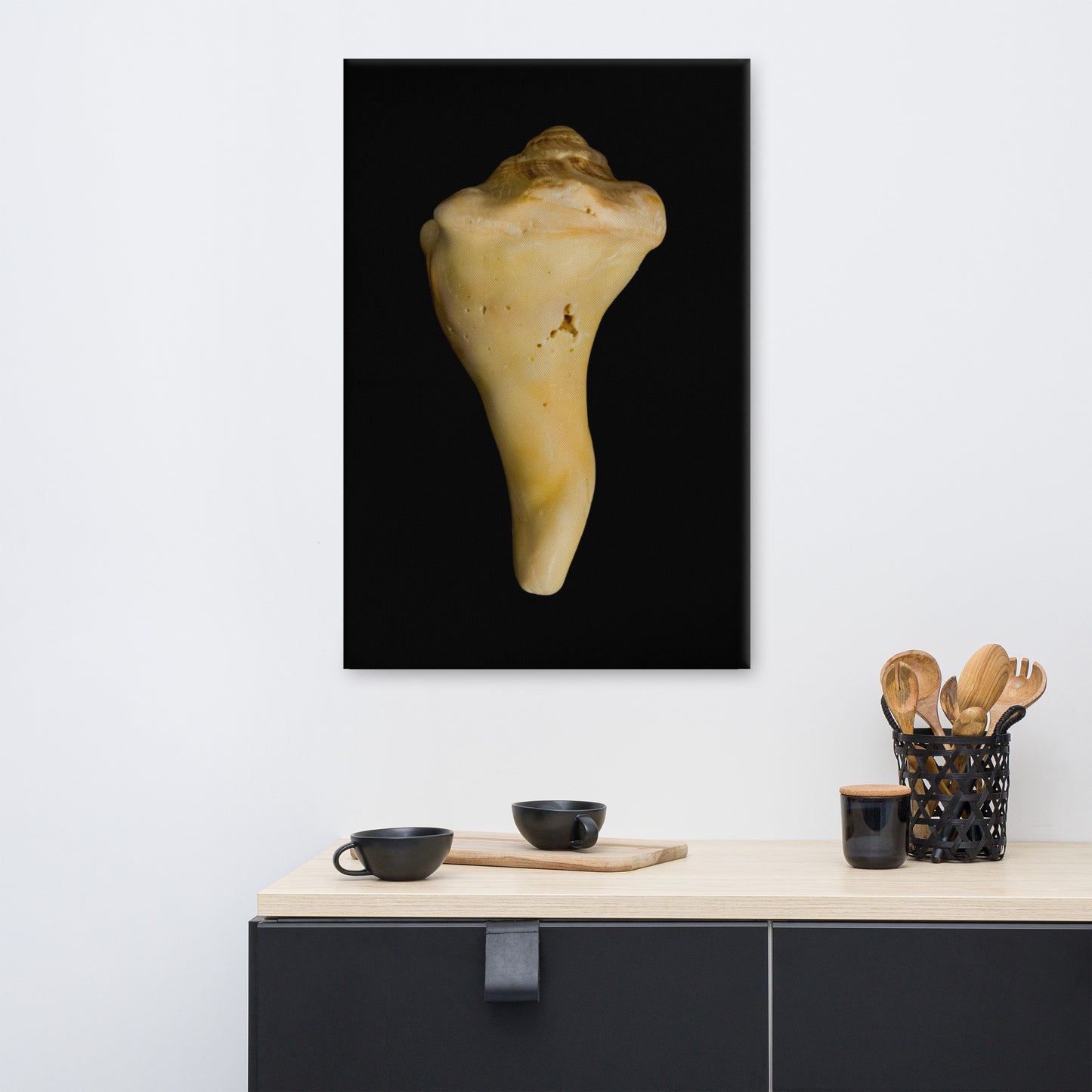 States of Erosion Image 8 Whelk Shell Coastal Nature Canvas Wall Art Prints