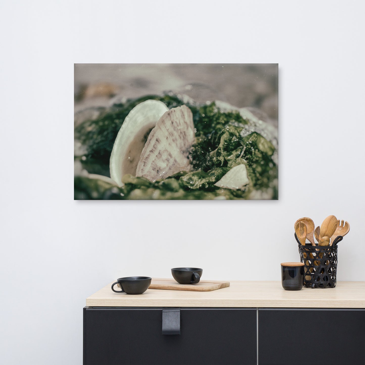 Seaweed and Shells Coastal Nature Canvas Wall Art Prints