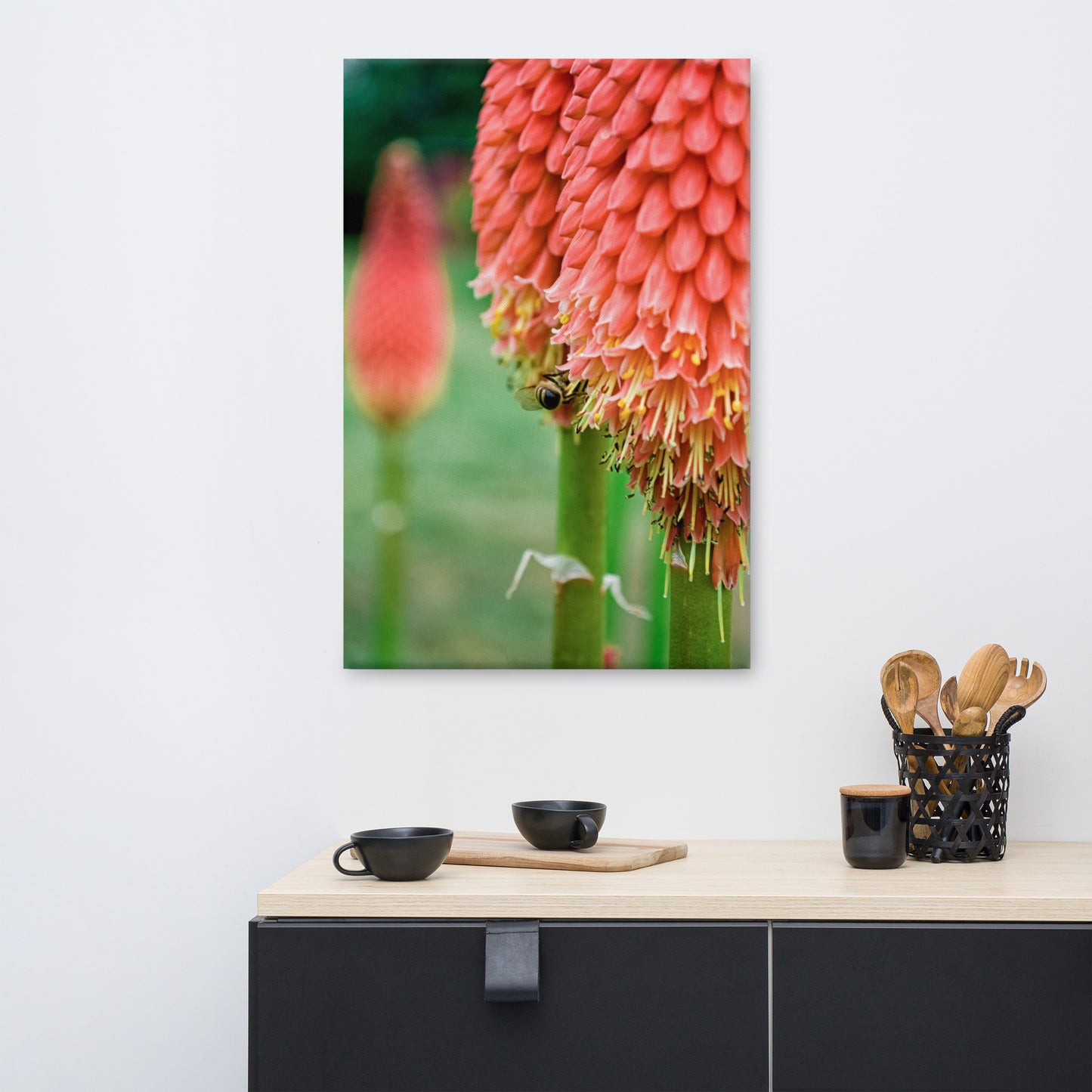 Red Hot Pokers Floral Botanical Nature Photo Canvas Wall Art Prints