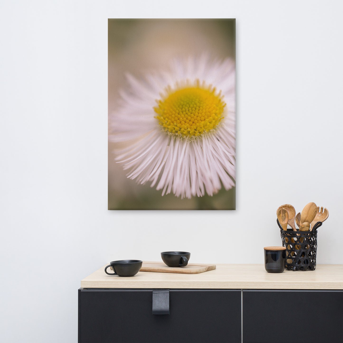 Philadelphia Fleabane Single Bloom Floral Botanical Nature Photo Canvas Wall Art Prints