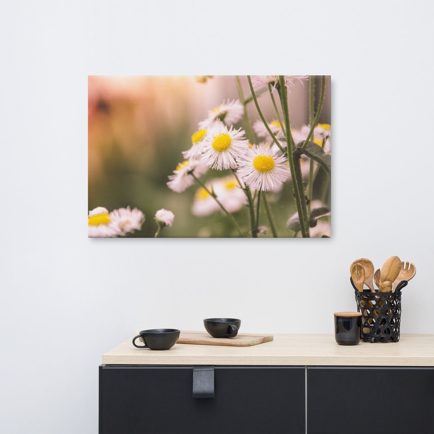 Philadelphia Fleabane Cluster Softened Floral Botanical Nature Photo Canvas Wall Art Prints