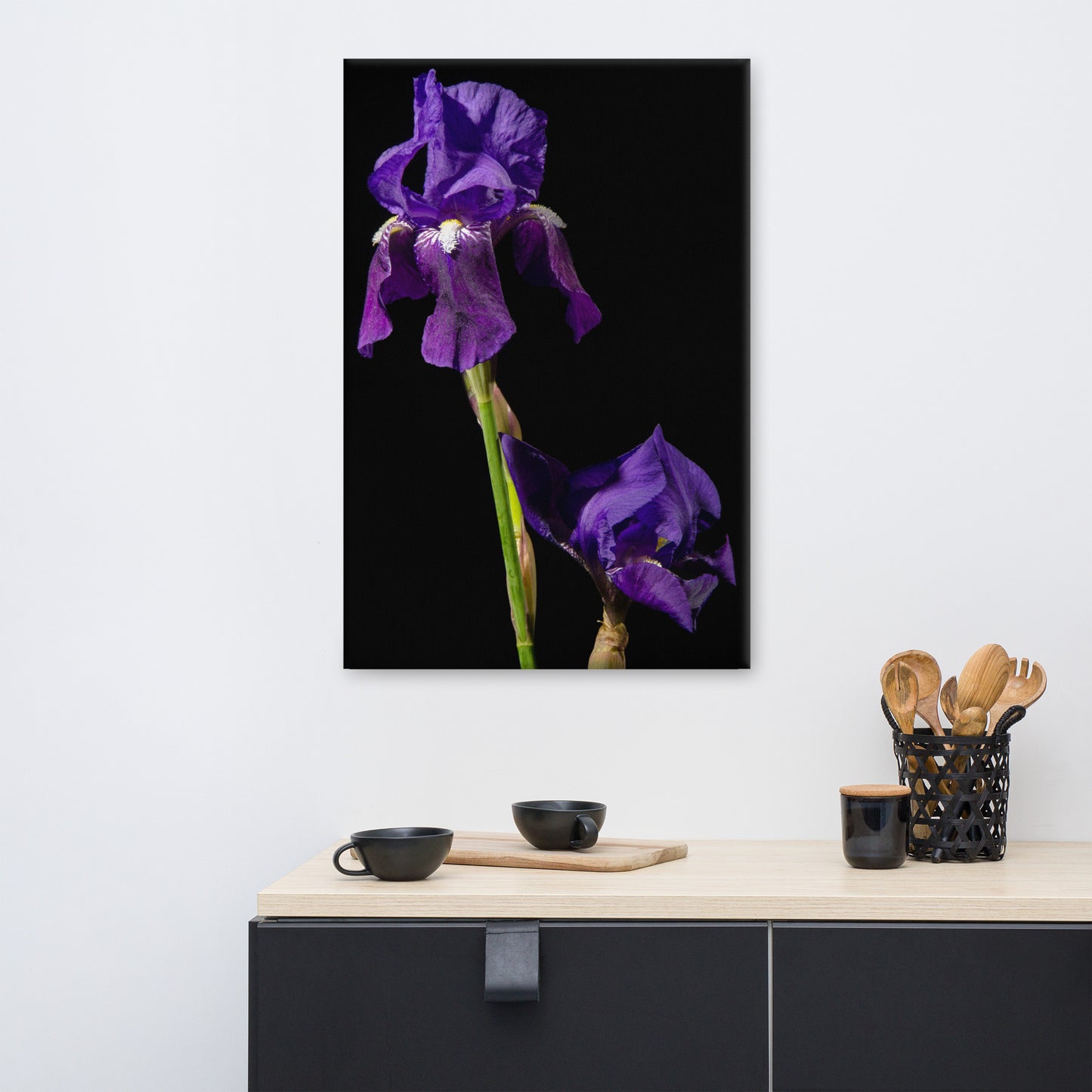 Iris on Black Floral Botanical Nature Photo Canvas Wall Art Prints