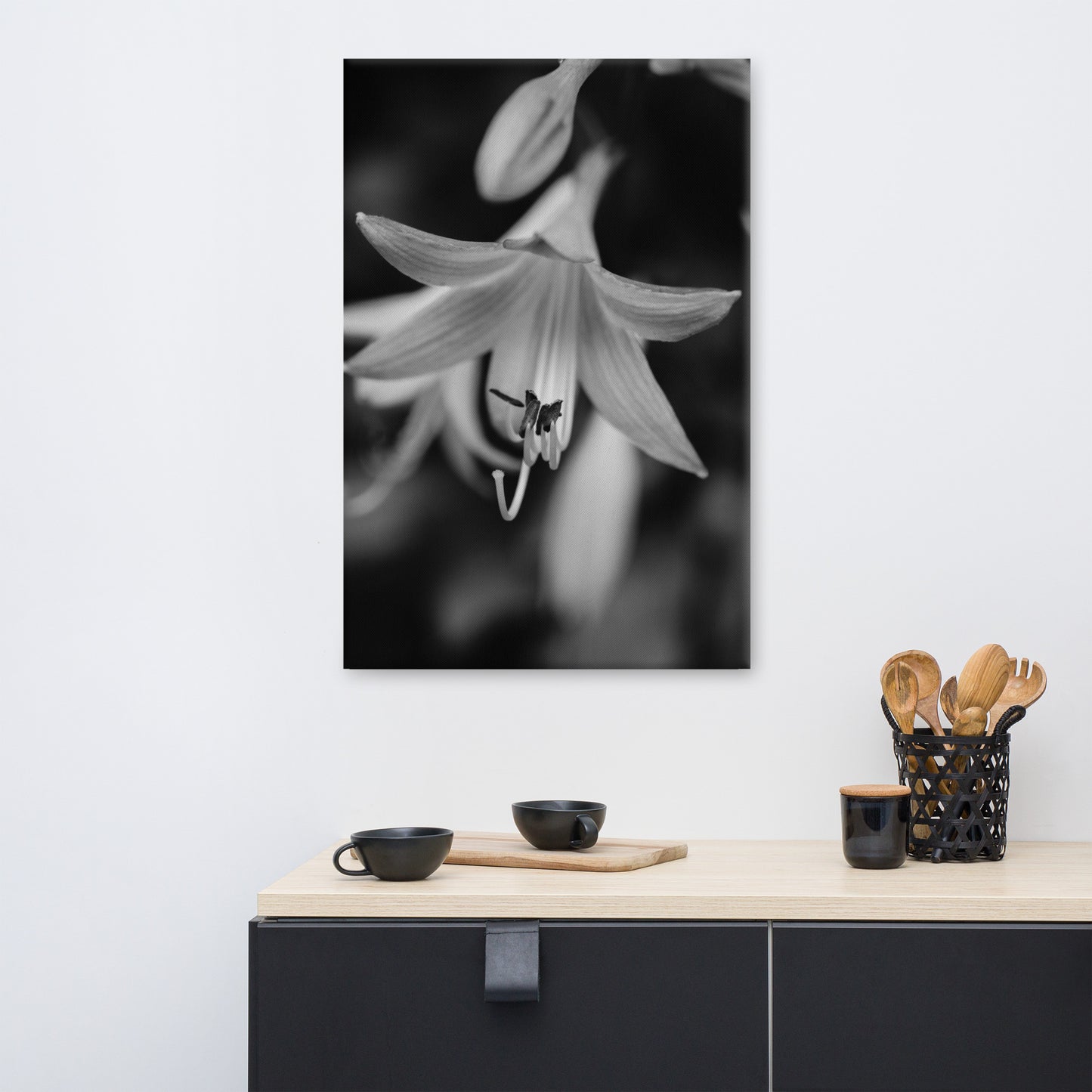 Hosta Bloom Black and White Floral Botanical Nature Photo Canvas Wall Art Prints