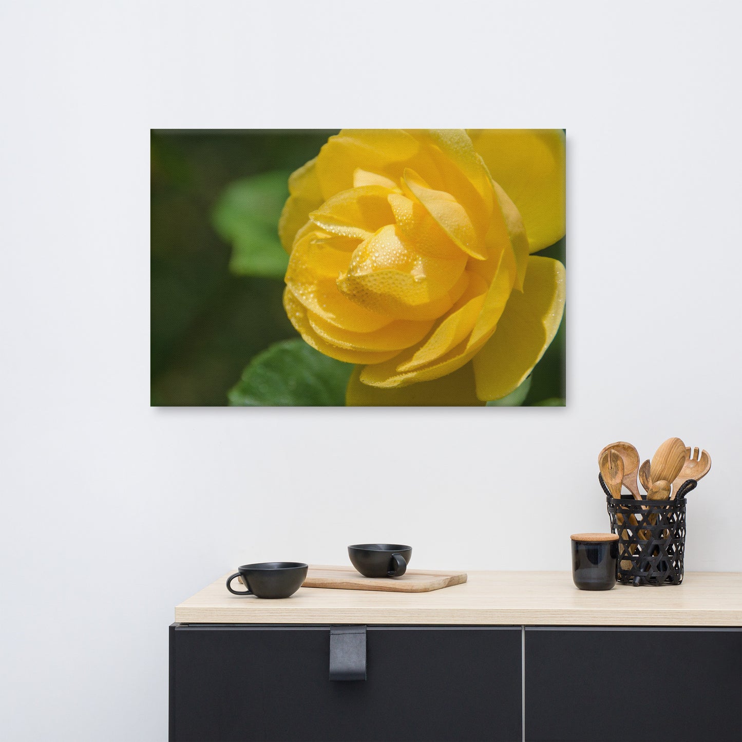 Friendship Rose Floral Botanical Nature Photo Canvas Wall Art Prints