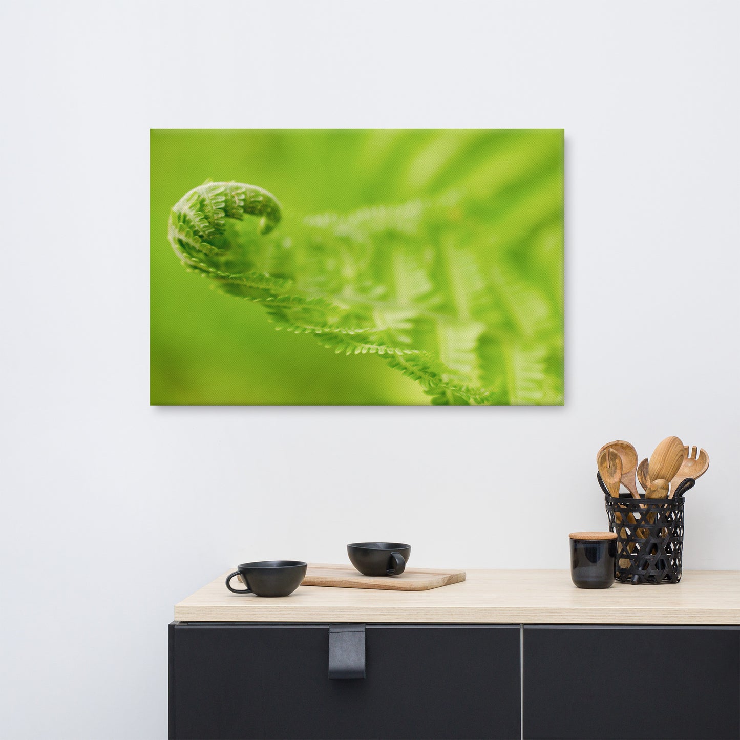 Fern Curl Minimal Botanical Nature Photograph Canvas Wall Art Prints