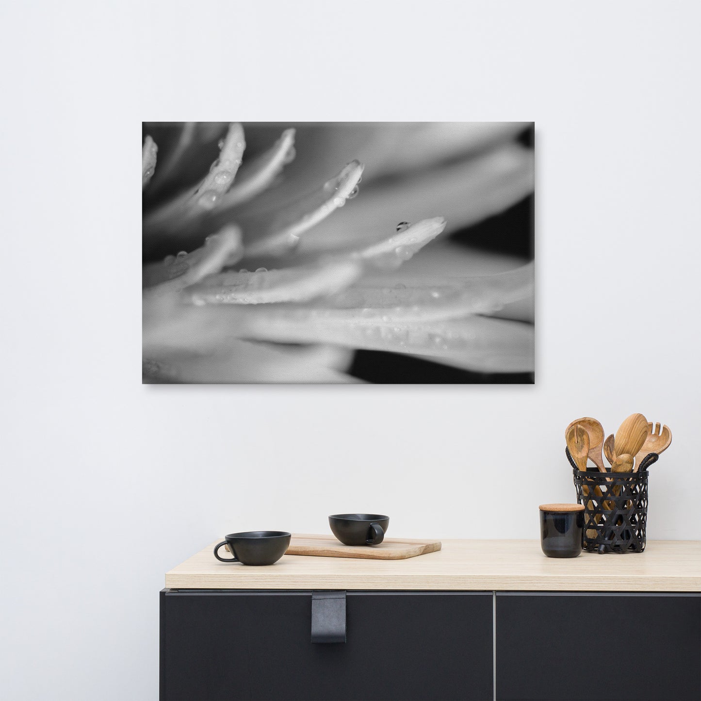 Droplets on Petals Black and White Floral Botanical Nature Photo Canvas Wall Art Prints