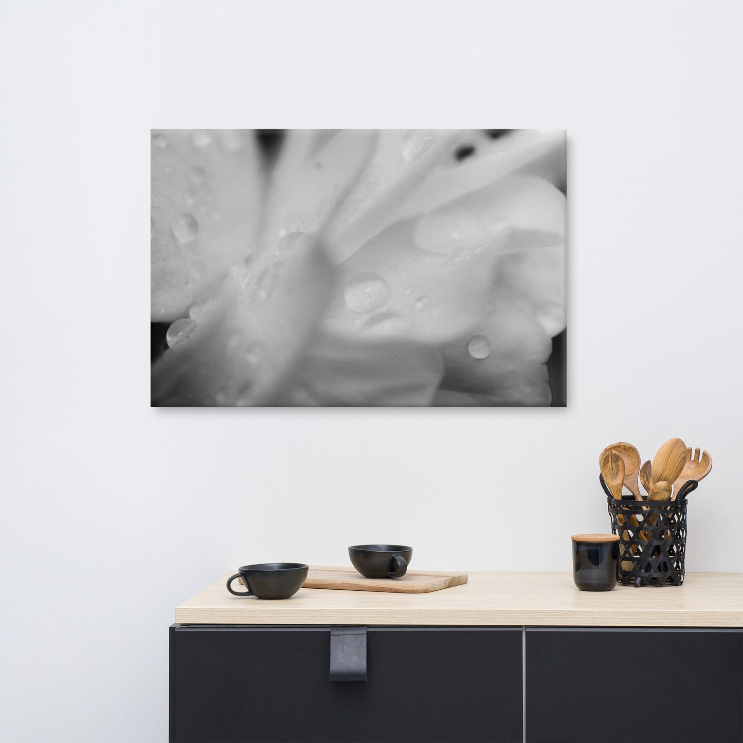Delicate Rose Petals Black and White Floral Nature Canvas Wall Art Prints