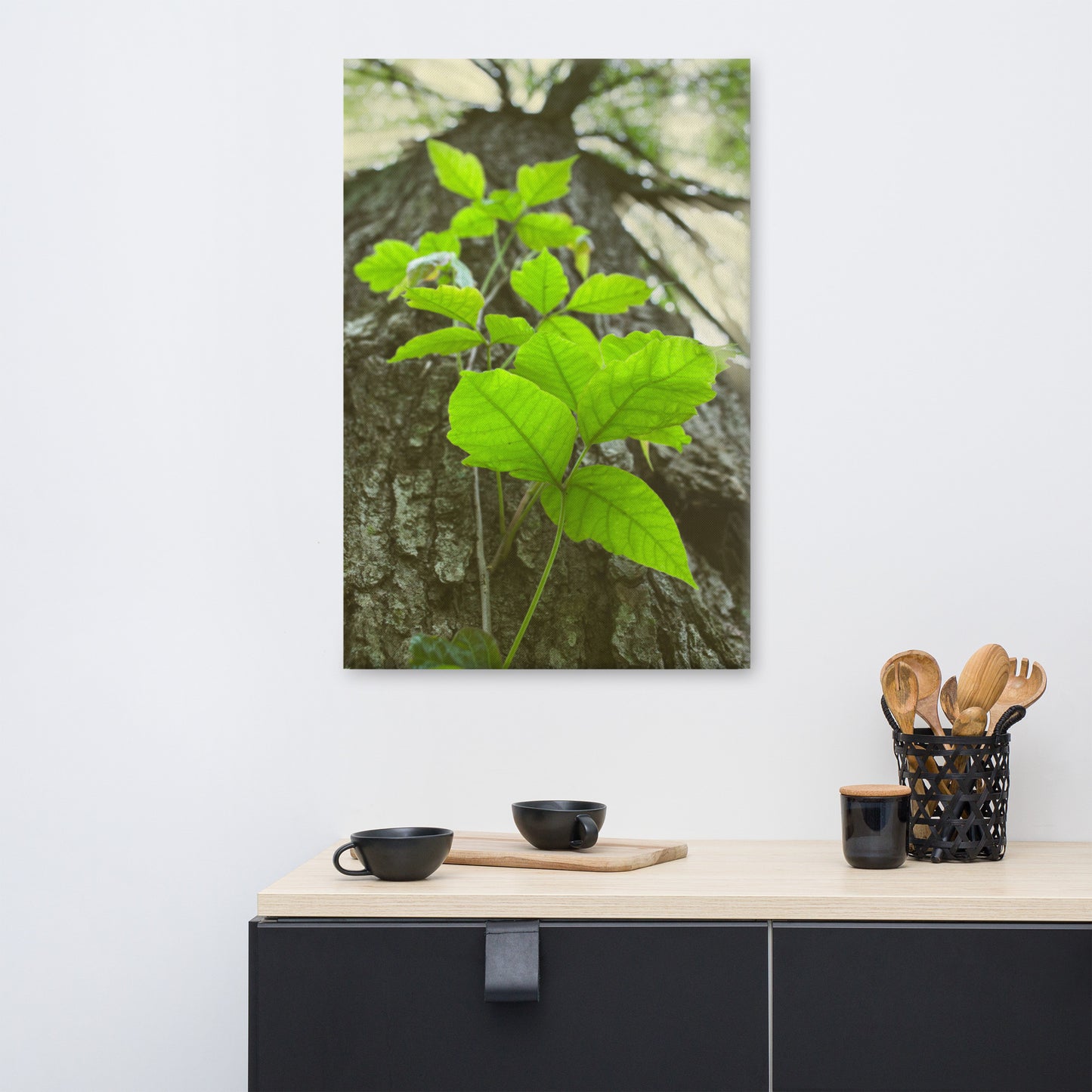 Climbing The Tree Botanical Nature Canvas Wall Art Prints