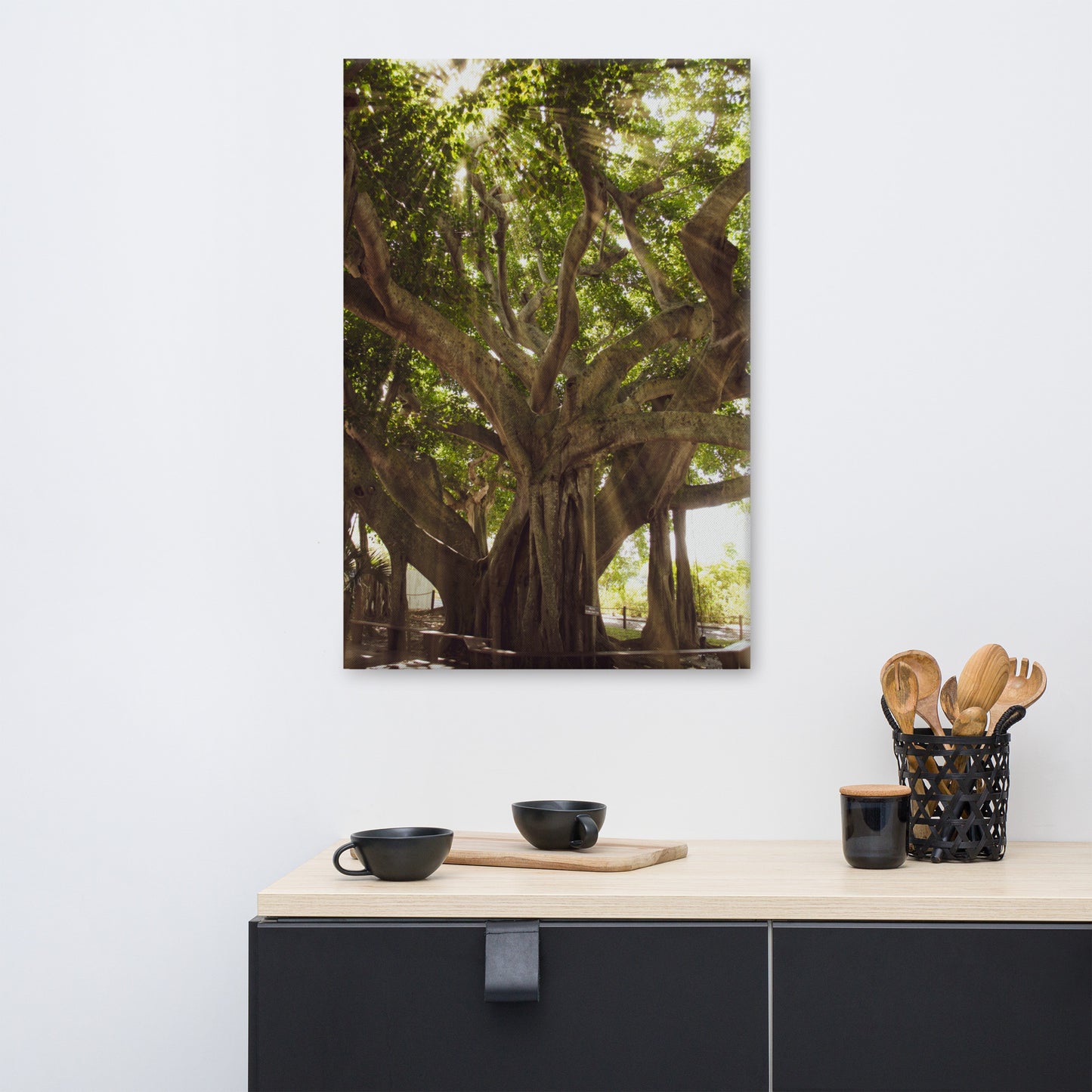 Banyan Tree With Glory Rays of Sunlight Botanical Nature Canvas Wall Art Prints