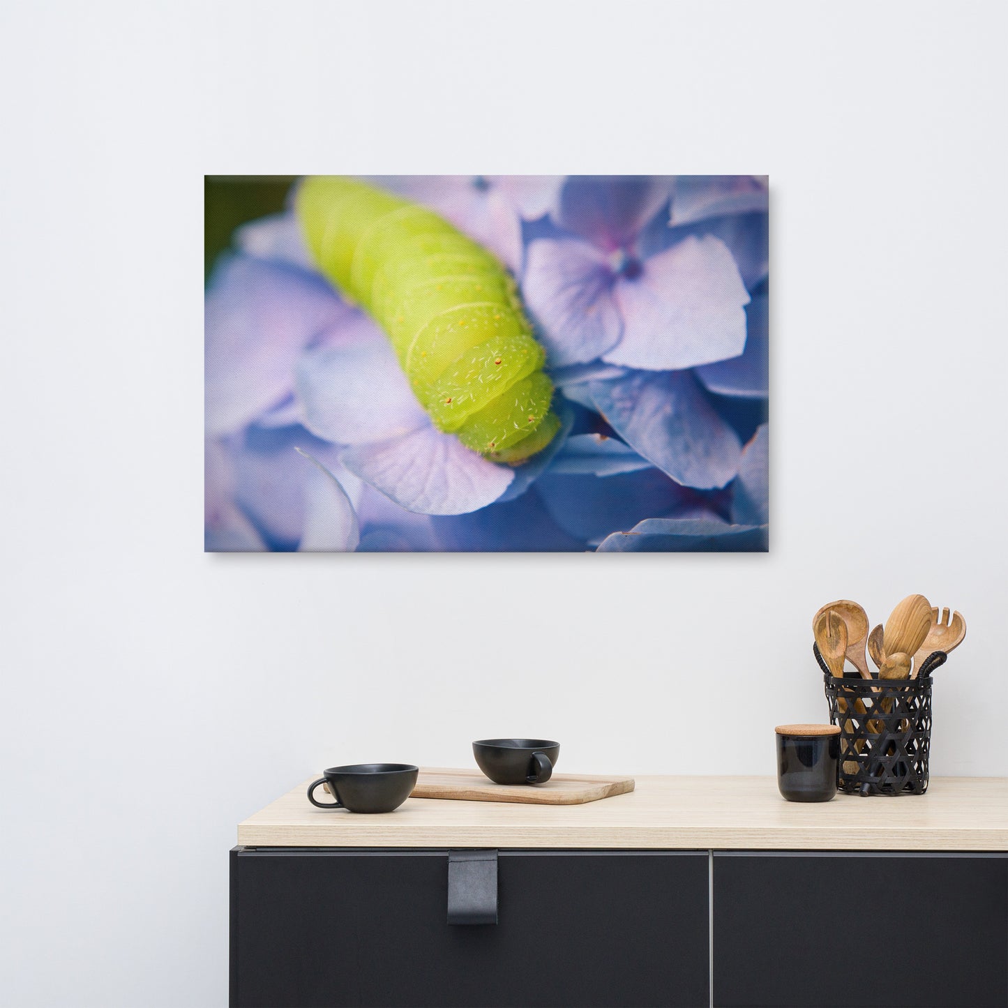 Actias Luna Larvae on Hydrangea Floral Botanical Nature Photograph Canvas Wall Art Prints