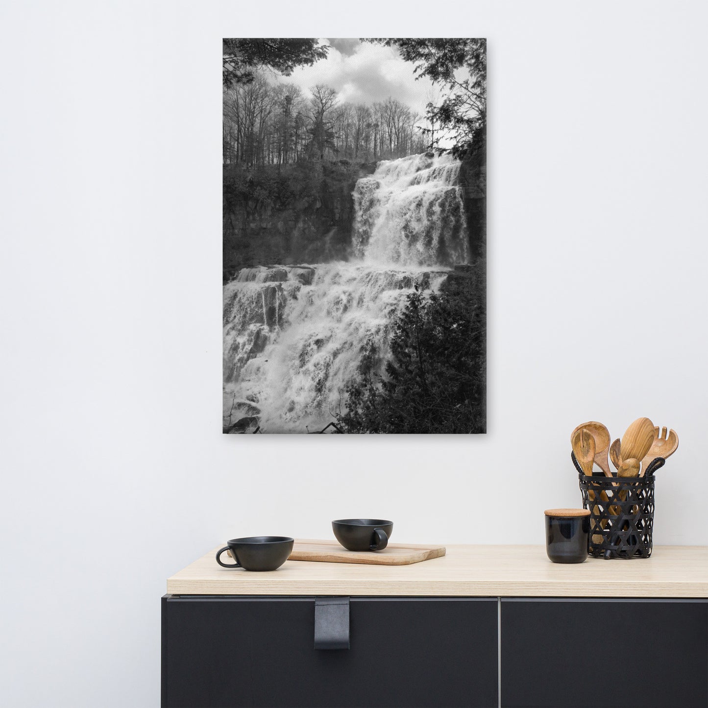 Chittenango Falls Black and White Rural Landscape Canvas Wall Art Prints
