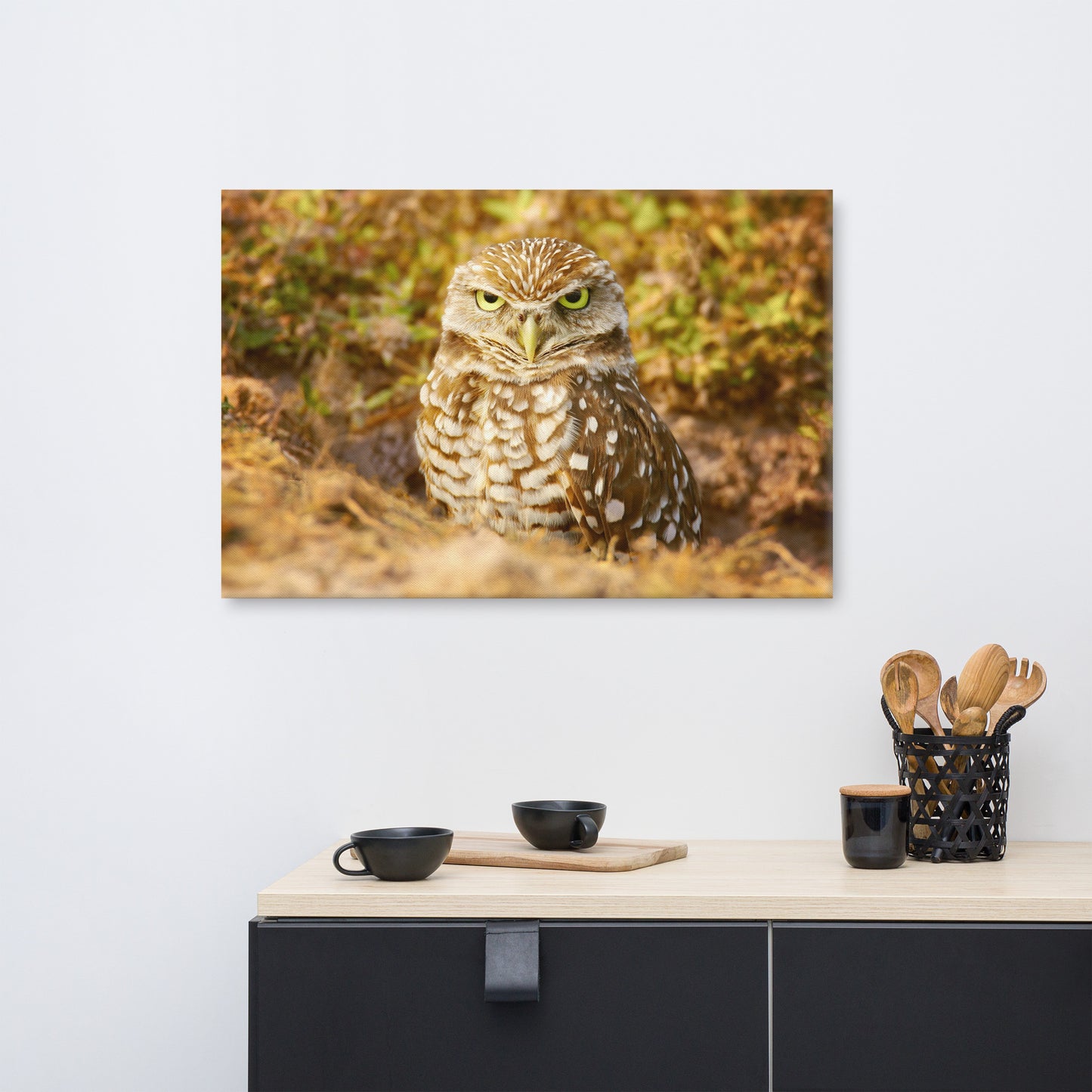 Burrowing Owl in Golden Light Wildlife Nature Photo Canvas Wall Art Prints