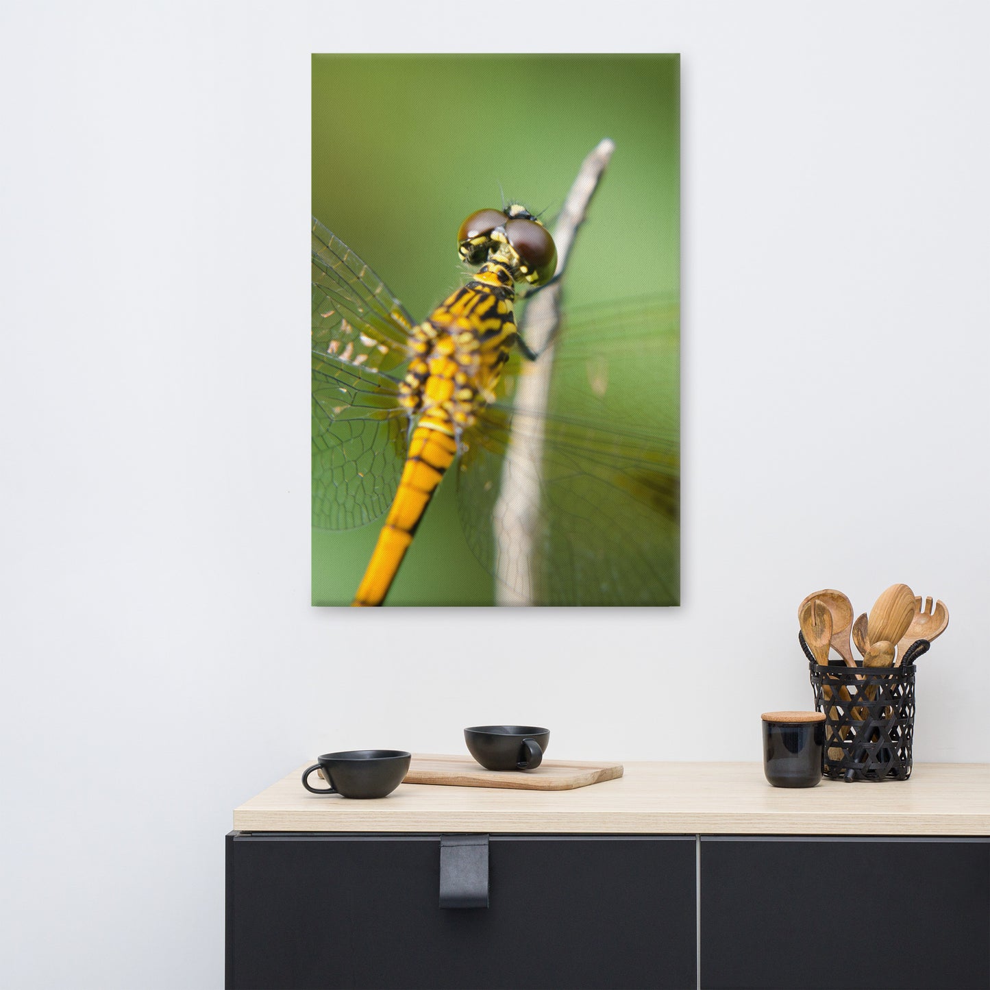 Dragonfly at Bombay Hook Animal / Wildlife Photograph Canvas Wall Art Prints