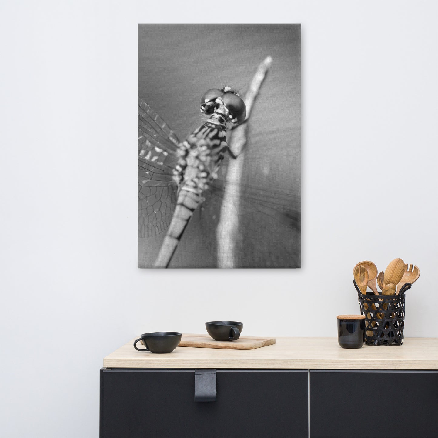 Dragonfly at Bombay Hook in Black and White Animal / Wildlife Photograph Canvas Wall Art Prints