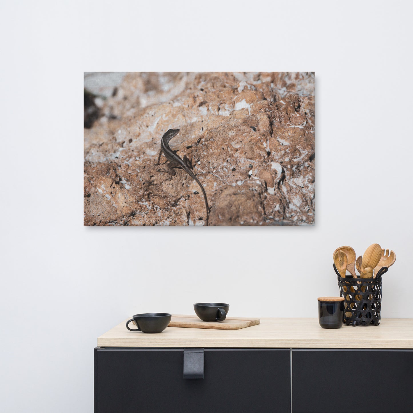 Lizard Rock Colorized Wildlife Photograph Canvas Wall Art Prints