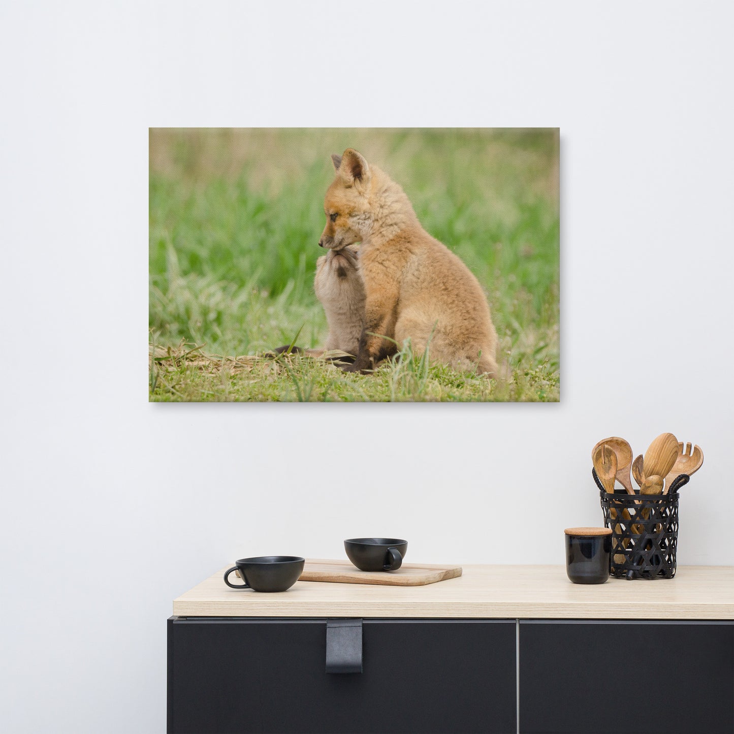 Baby Red Foxes Sibling Kisses Animal Wildlife Photograph Canvas Wall Art Prints