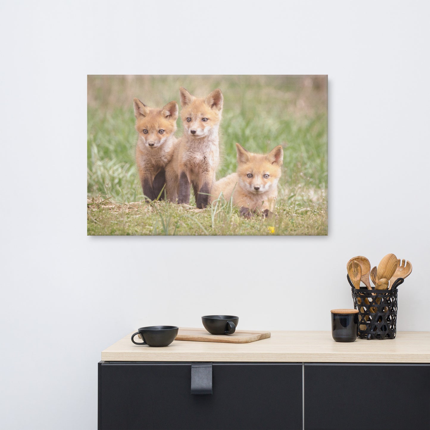 Baby Red Foxes Siblings Animal / Wildlife Photograph Canvas Wall Art Prints