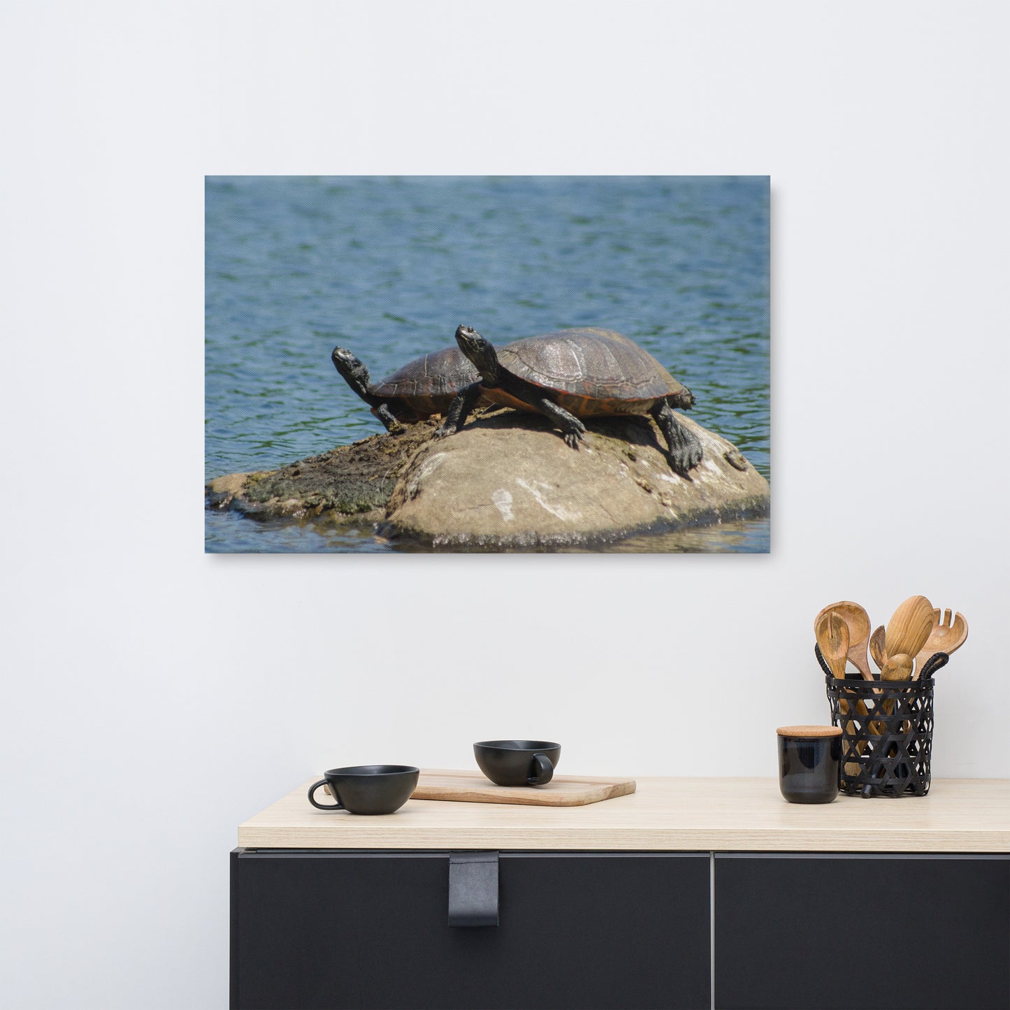 Sunshine Rock with Turtles Animal / Wildlife Photograph Canvas Wall Art Prints