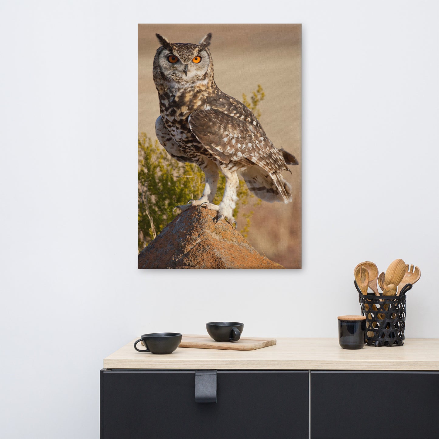 Cape Eagle Owl Wildlife Animal Photograph Canvas Wall Art Prints