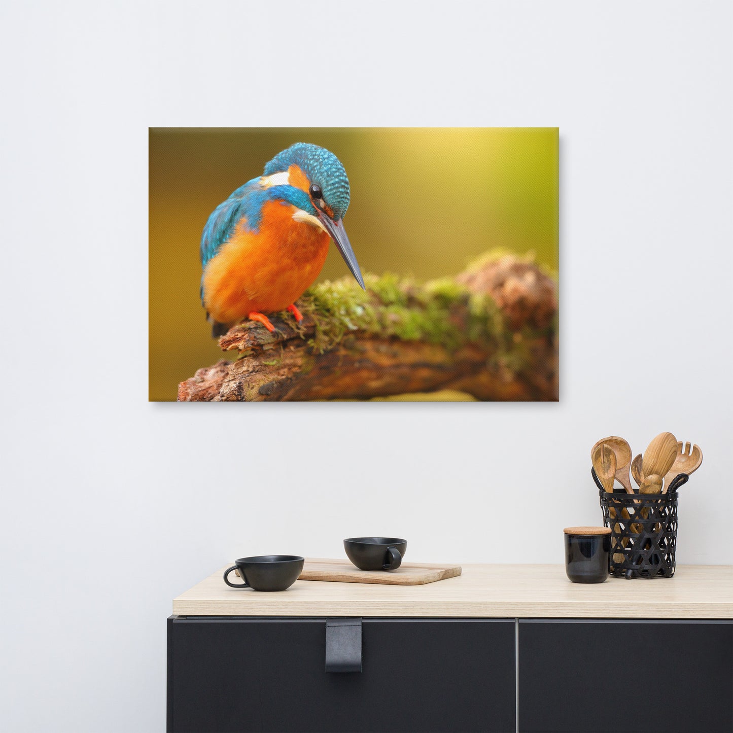 Kingfisher Bird on Perch 2 Animal Wildlife Photo Canvas Wall Art Prints
