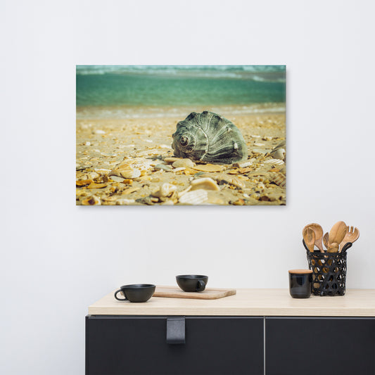 Daydreams on the Shore Coastal Nature Canvas Wall Art Prints