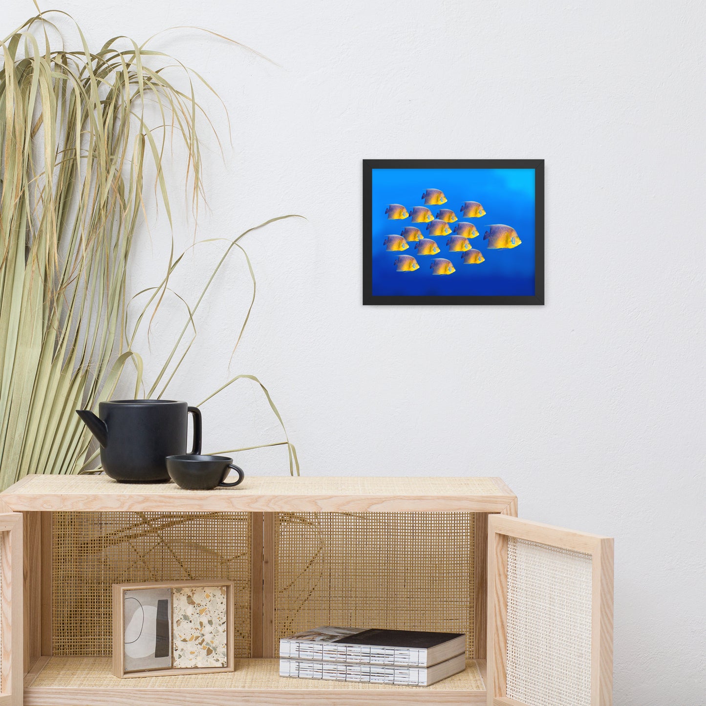 School of Tropical Coral Fish Angelfish Isolated in Blue Ocean Water Animal Wildlife Photograph Framed Wall Art Prints