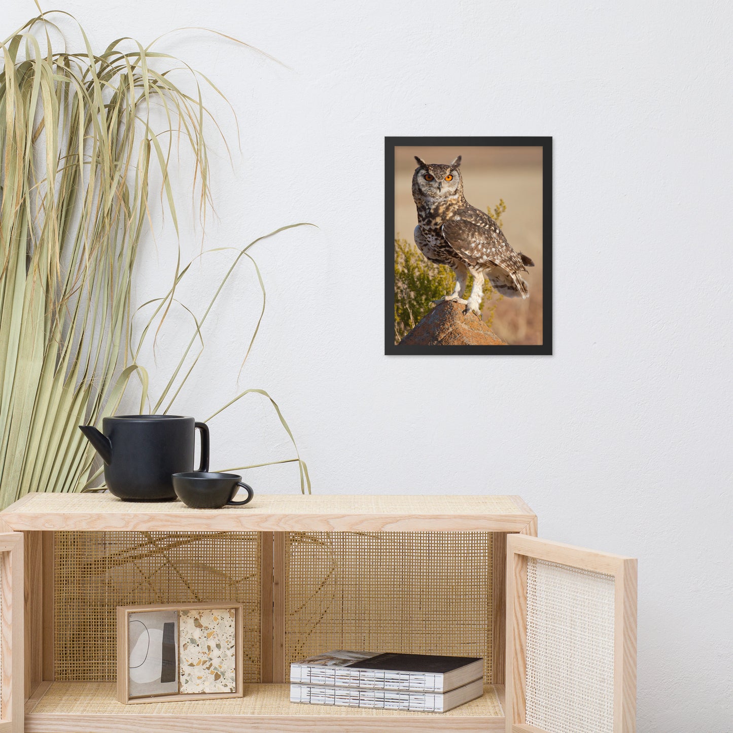 Cape Eagle Owl Wildlife Animal Photograph Framed Wall Art Prints