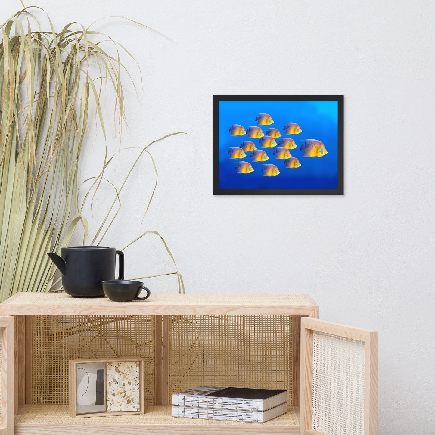 School of Tropical Coral Fish Angelfish Isolated in Blue Ocean Water Animal Wildlife Photograph Framed Wall Art Prints