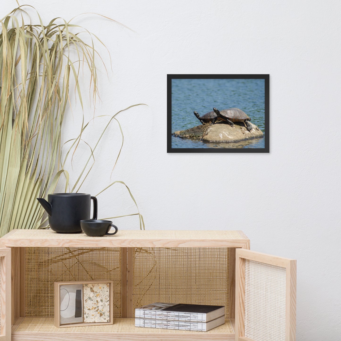 Sunshine Rock with Turtles Animal Wildlife Photograph Framed Wall Art Prints