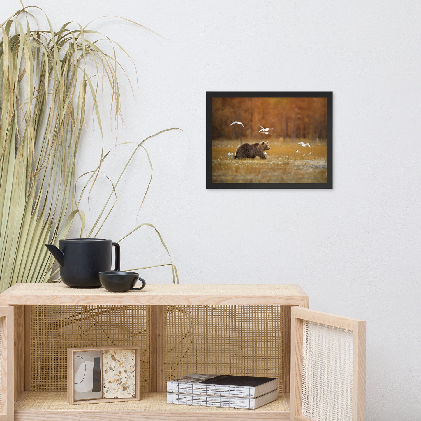 Big Brown Bear Crossing the Marshlands Wildlife Photo Framed Wall Art Prints