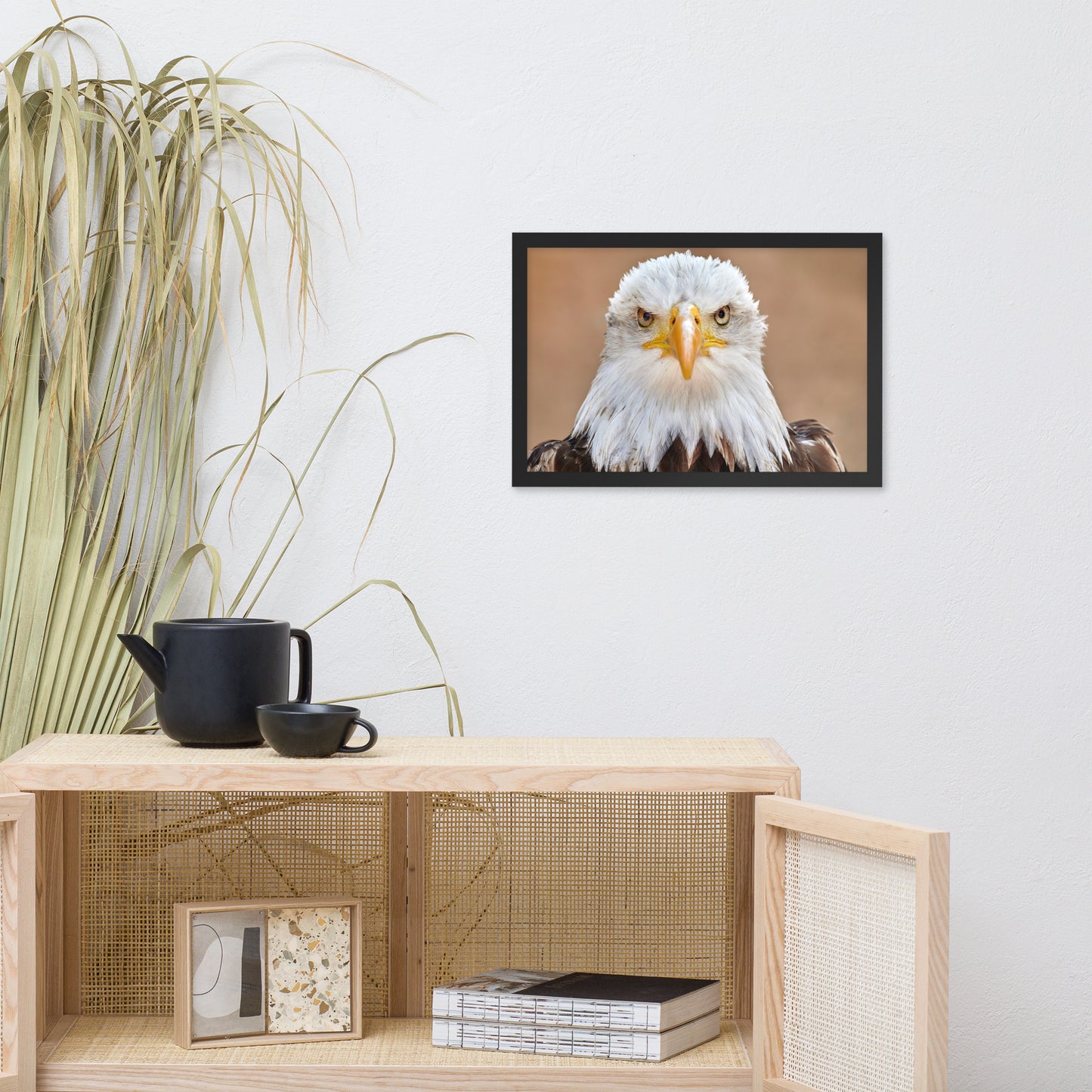 Bald Eagle Portrait Close-up 2 Wildlife Photograph Framed Wall Art Prints