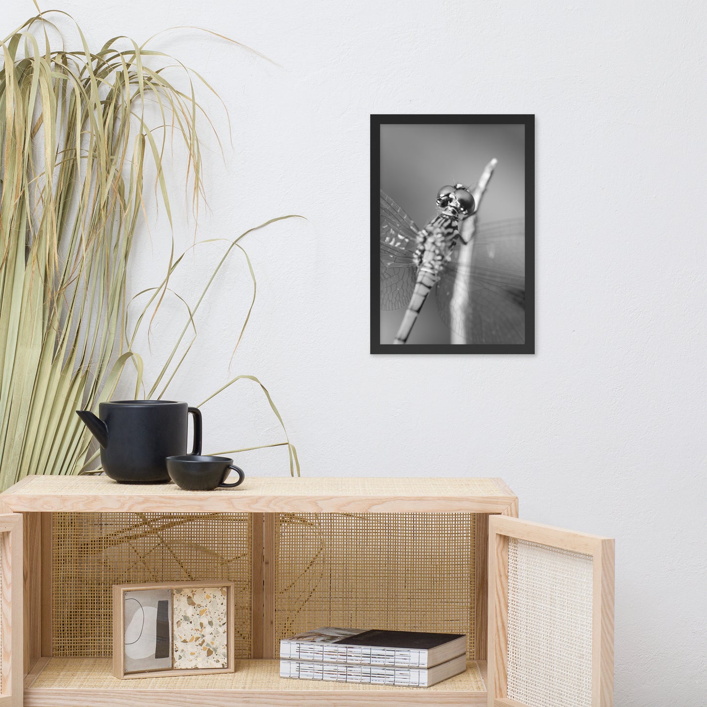 Dragonfly at Bombay Hook in Black and White Animal Wildlife Photograph Framed Wall Art Prints