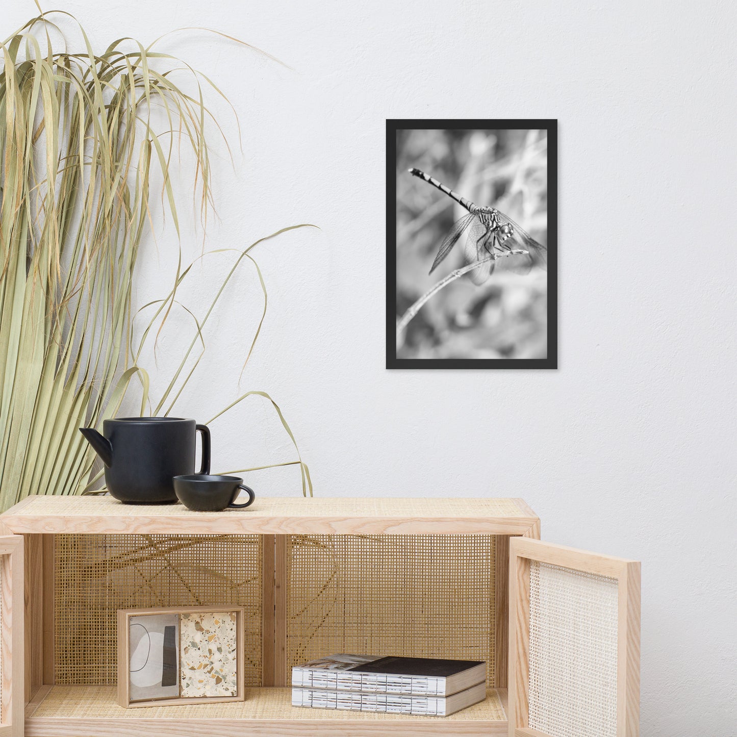 Dragonfly in Black and White Animal Wildlife Photograph Framed Wall Art Prints
