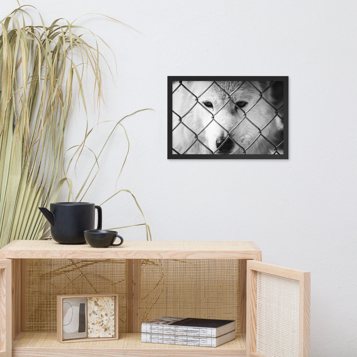 Dreams of Freedom in Black and White Animal Wildlife Photograph Framed Wall Art Prints