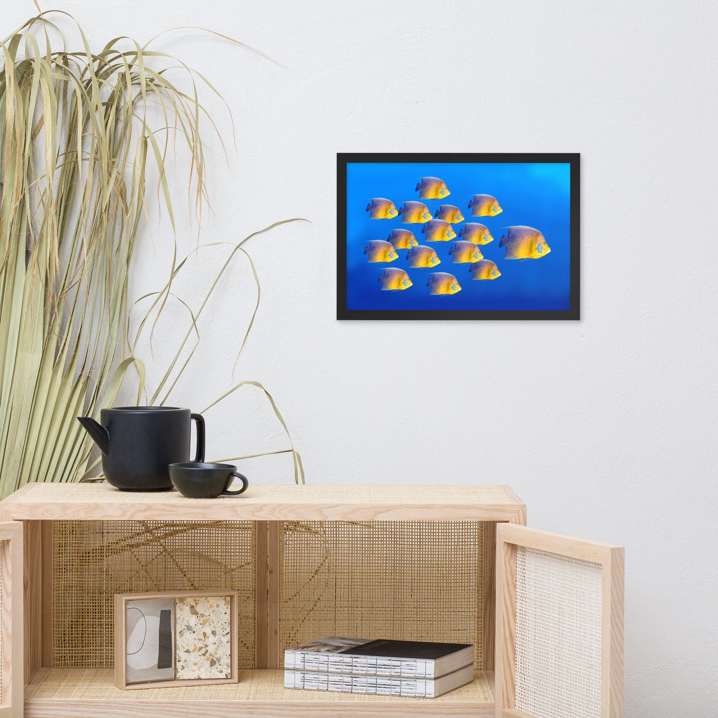 School of Tropical Coral Fish Angelfish Isolated in Blue Ocean Water Animal Wildlife Photograph Framed Wall Art Prints
