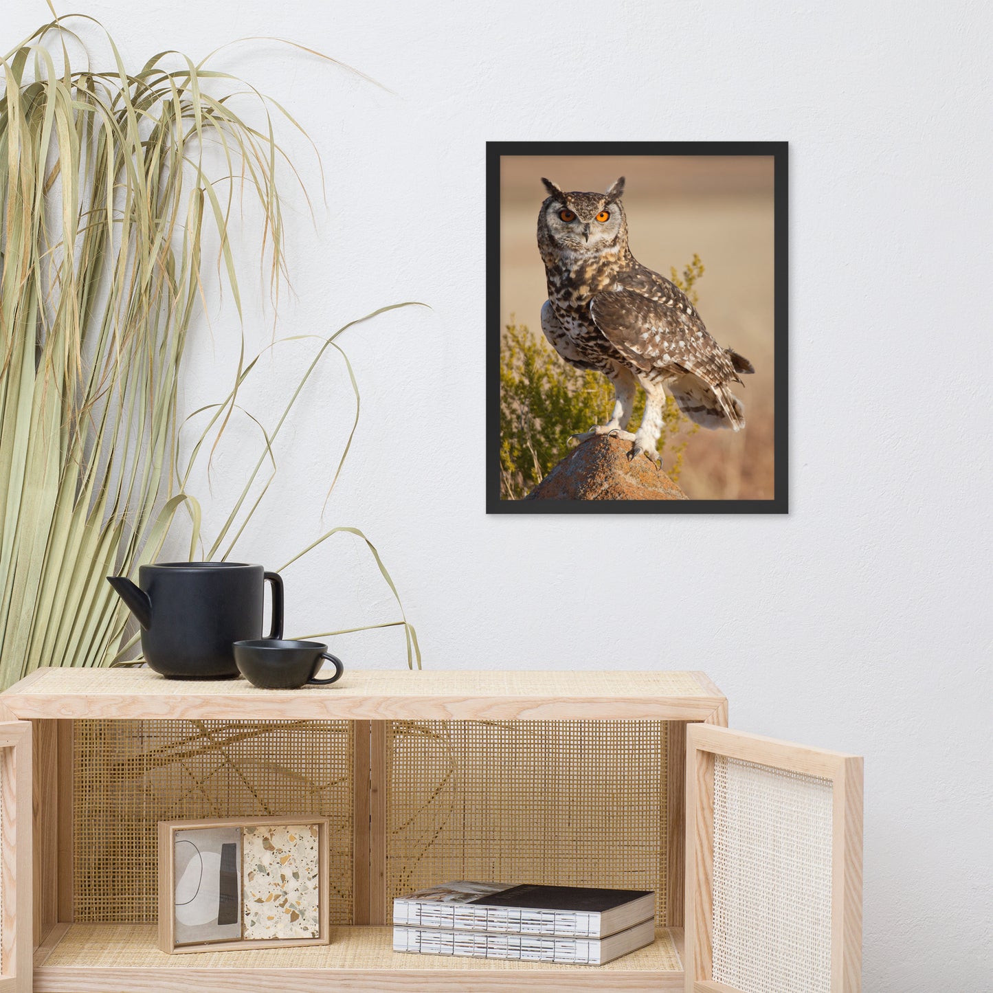 Cape Eagle Owl Wildlife Animal Photograph Framed Wall Art Prints