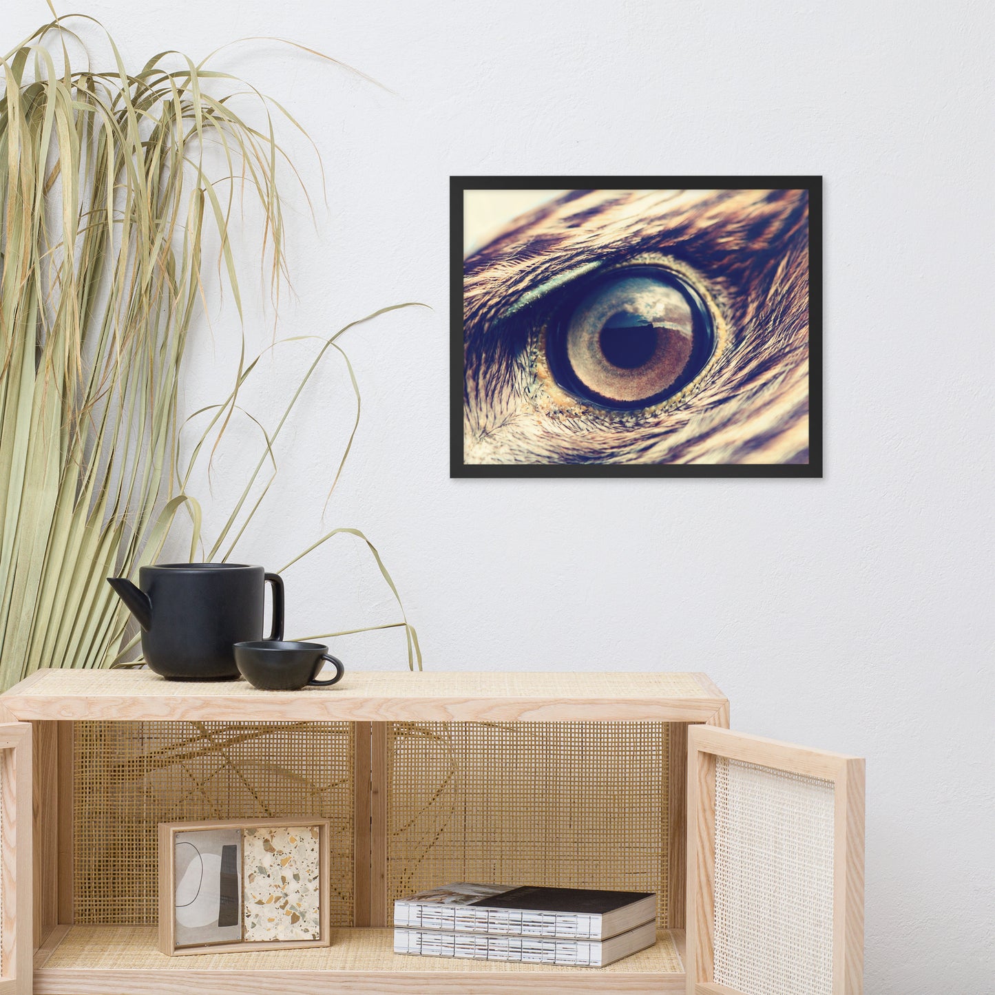Close-up Eagle Eye Color Tone Animal Wildlife Photograph Framed Wall Art Prints