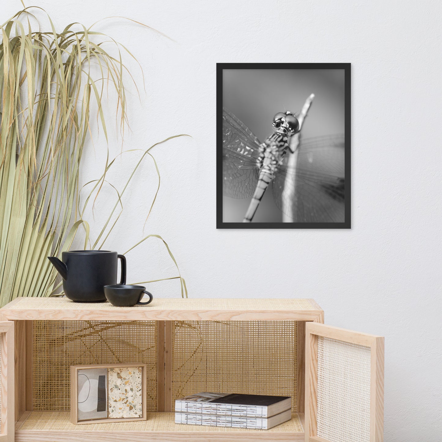 Dragonfly at Bombay Hook in Black and White Animal Wildlife Photograph Framed Wall Art Prints