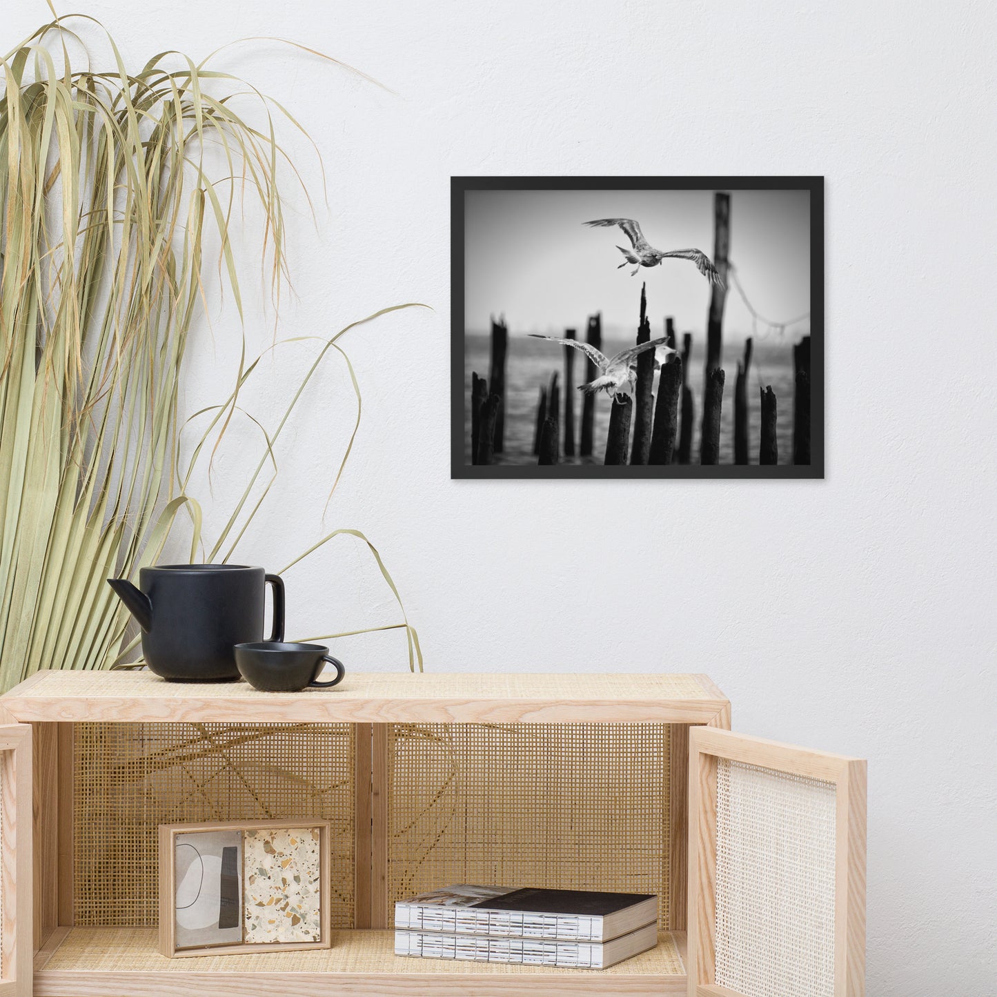 Flying Seagull in Black and White Animal Wildlife Photograph Framed Wall Art Prints